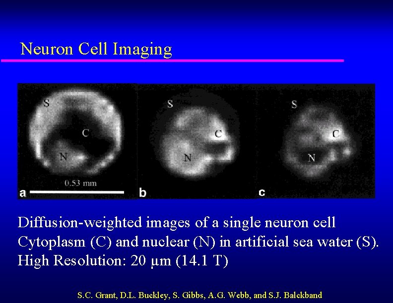 Neuron Cell Imaging Diffusion-weighted images of a single neuron cell Cytoplasm (C) and nuclear