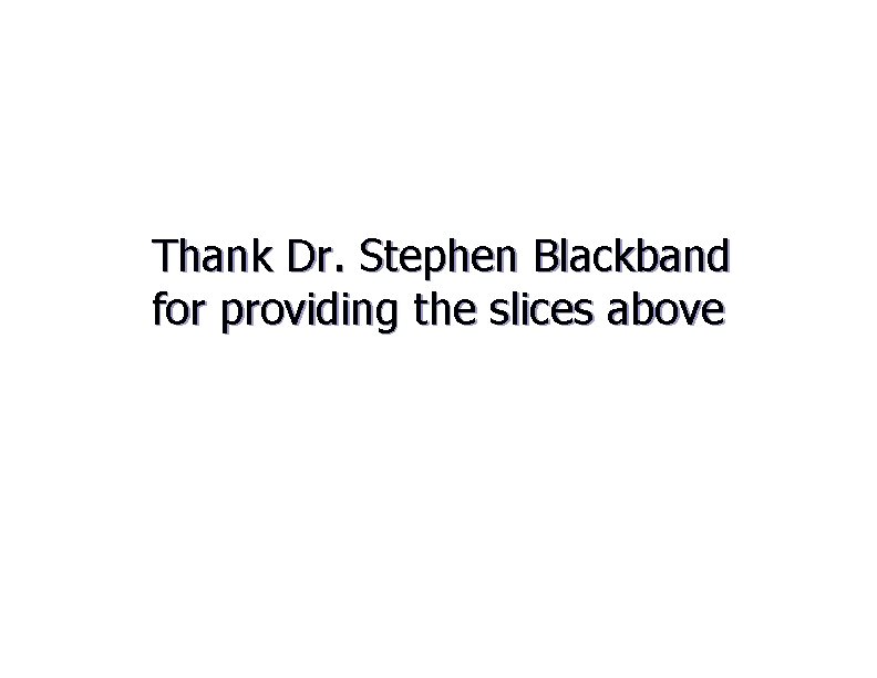 Thank Dr. Stephen Blackband for providing the slices above 