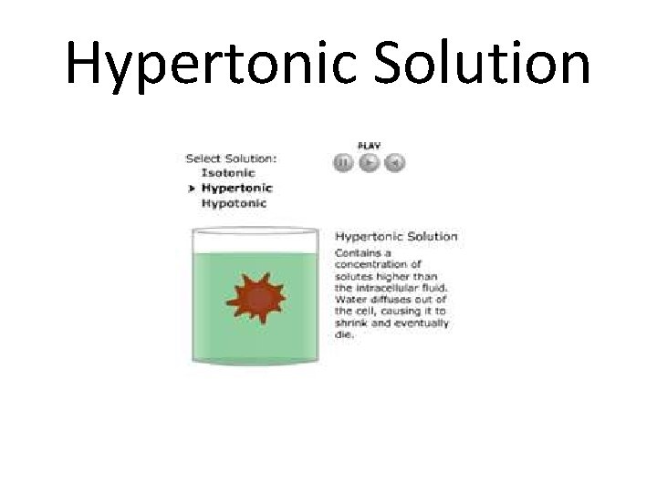 Hypertonic Solution 