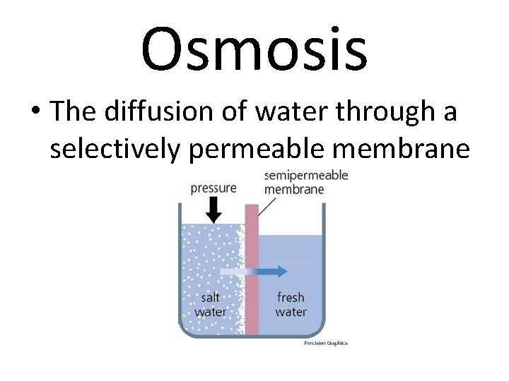 Osmosis • The diffusion of water through a selectively permeable membrane 