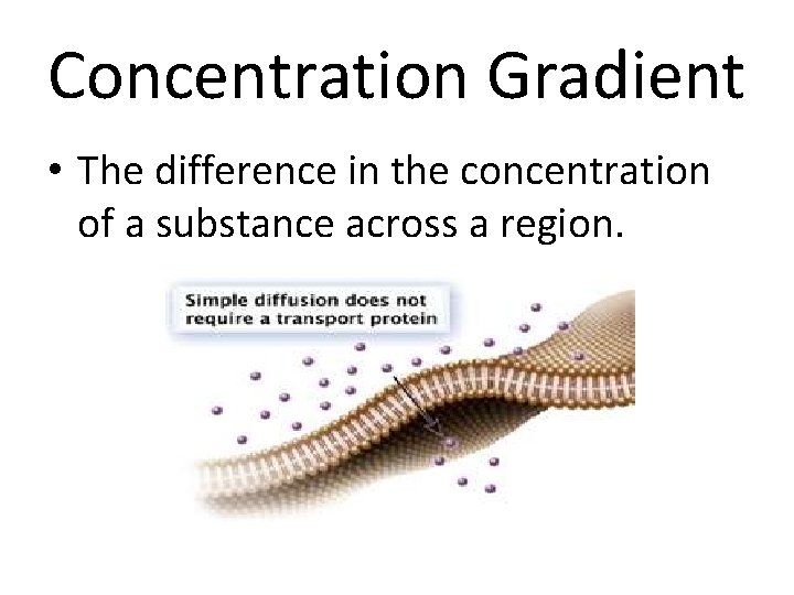Concentration Gradient • The difference in the concentration of a substance across a region.
