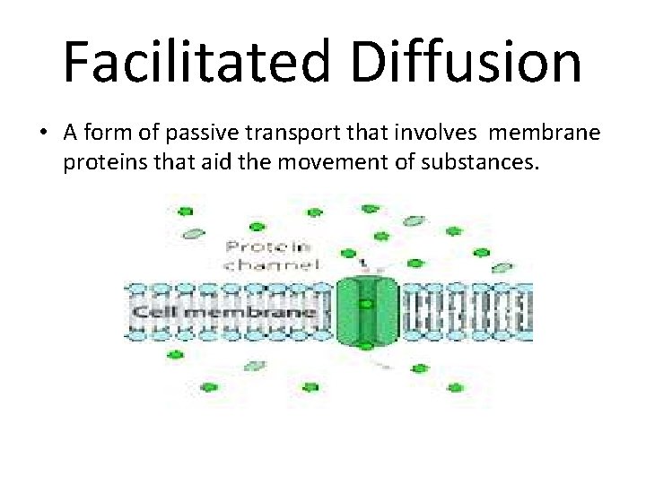 Facilitated Diffusion • A form of passive transport that involves membrane proteins that aid