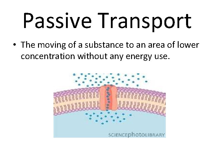 Passive Transport • The moving of a substance to an area of lower concentration