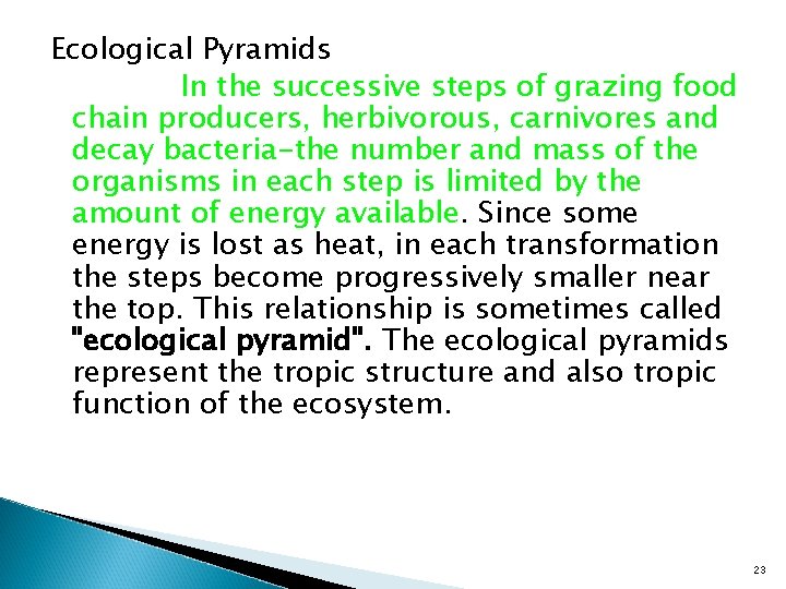 Ecological Pyramids In the successive steps of grazing food chain producers, herbivorous, carnivores and