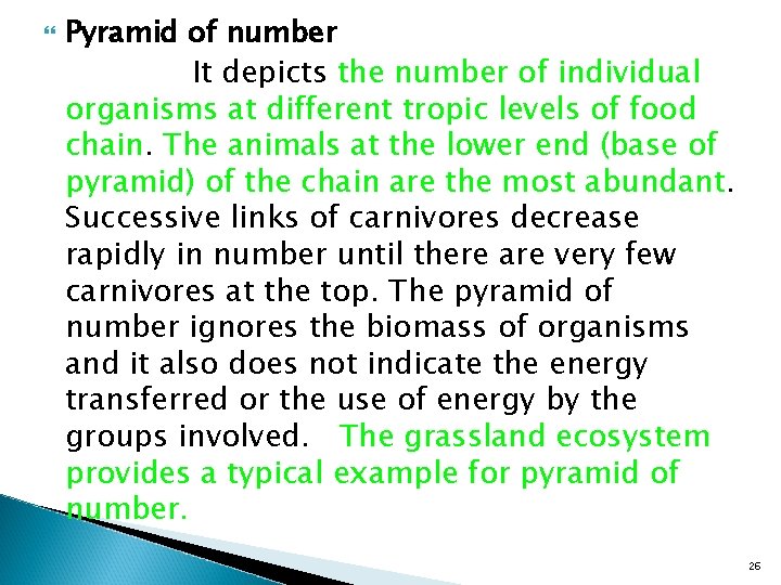  Pyramid of number It depicts the number of individual organisms at different tropic