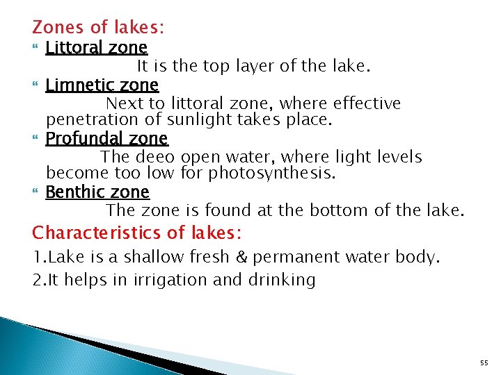 Zones of lakes: Littoral zone It is the top layer of the lake. Limnetic