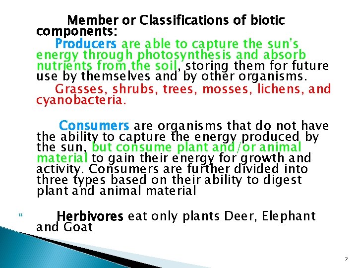 Member or Classifications of biotic components: Producers are able to capture the sun's energy