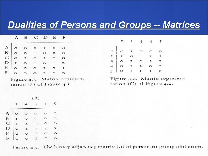 Dualities of Persons and Groups -- Matrices 16 