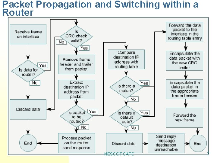 Packet Propagation and Switching within a Router NESCOT CATC 7 