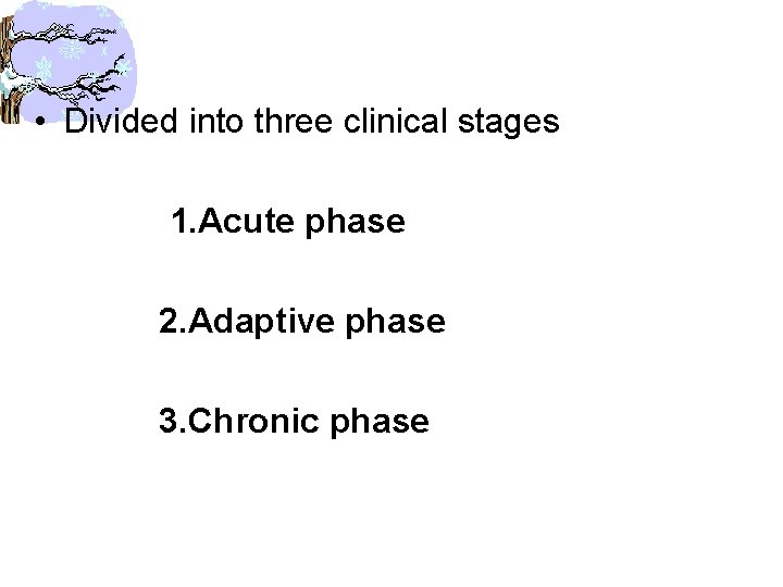  • Divided into three clinical stages 1. Acute phase 2. Adaptive phase 3.