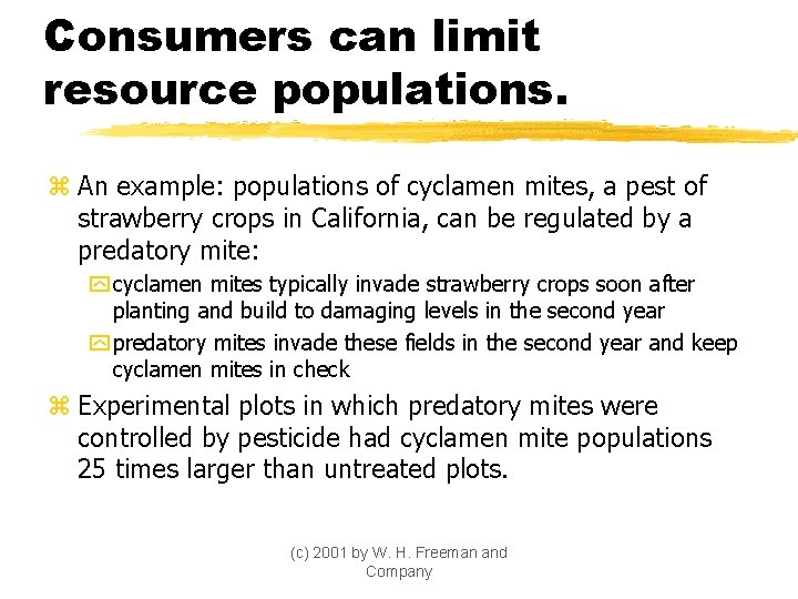 Consumers can limit resource populations. z An example: populations of cyclamen mites, a pest