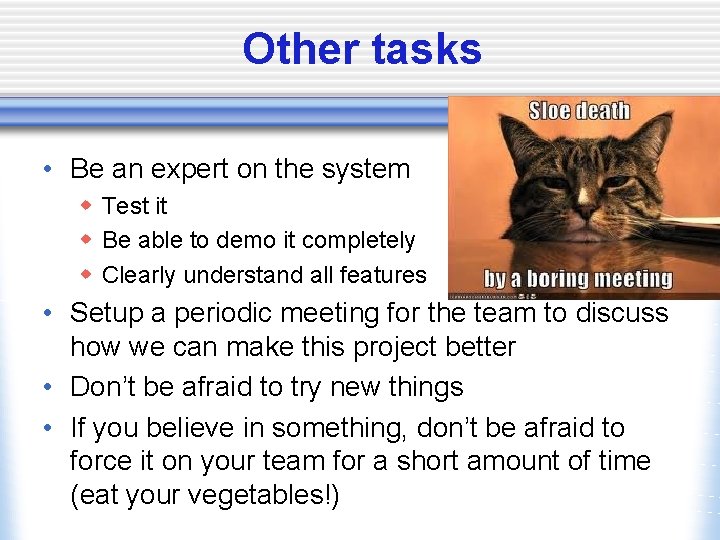 Other tasks • Be an expert on the system w Test it w Be