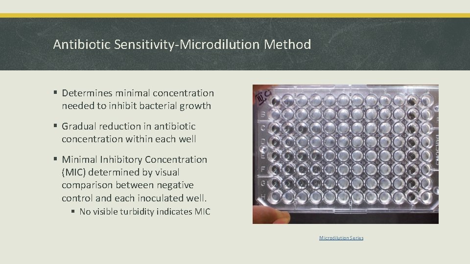 Antibiotic Sensitivity-Microdilution Method § Determines minimal concentration needed to inhibit bacterial growth § Gradual