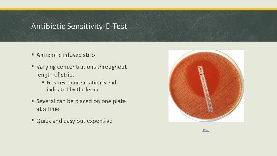 Antibiotic Sensitivity-E-Test § Antibiotic infused strip § Varying concentrations throughout length of strip. §