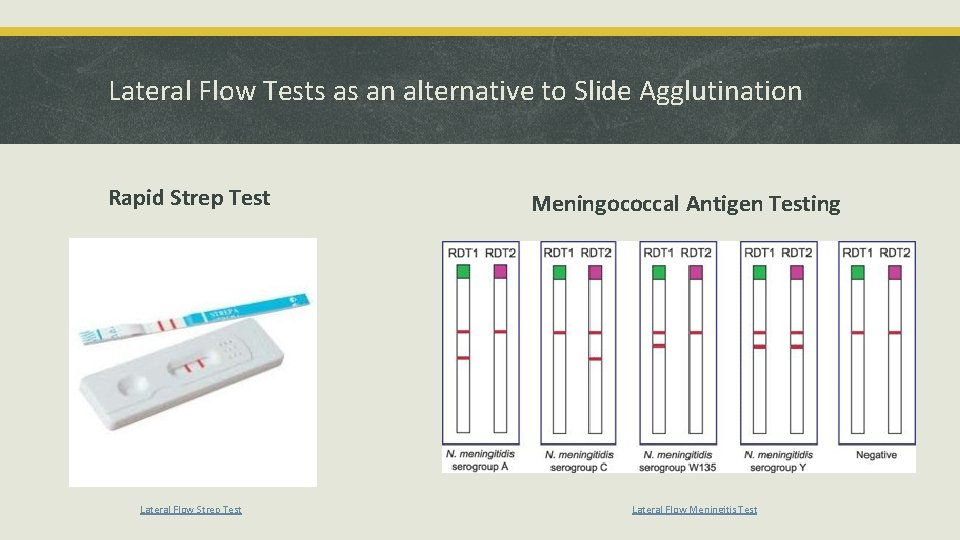 Lateral Flow Tests as an alternative to Slide Agglutination Rapid Strep Test Lateral Flow