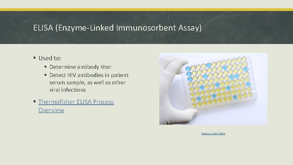 ELISA (Enzyme-Linked Immunosorbent Assay) § Used to: § Determine antibody titer § Detect HIV