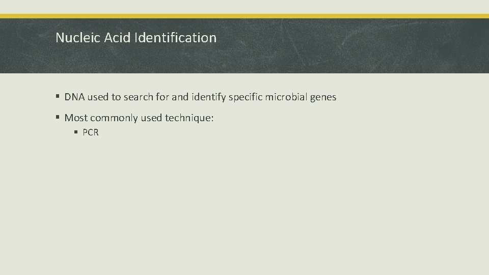 Nucleic Acid Identification § DNA used to search for and identify specific microbial genes