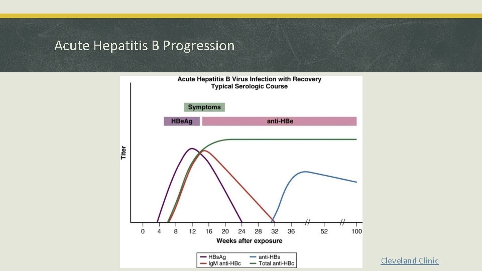 Acute Hepatitis B Progression Cleveland Clinic 