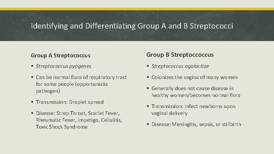 Identifying and Differentiating Group A and B Streptococci Group A Streptococcus Group B Streptoccoccus