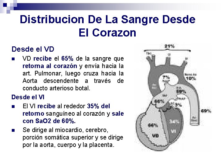Distribucion De La Sangre Desde El Corazon Desde el VD VD recibe el 65%