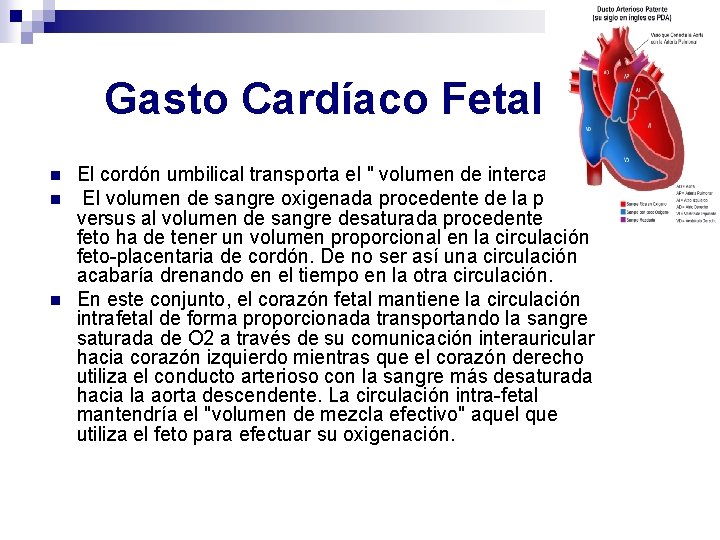 Gasto Cardíaco Fetal n n n El cordón umbilical transporta el " volumen de