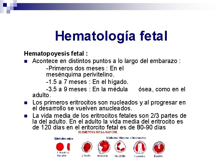 Hematología fetal Hematopoyesis fetal : n Acontece en distintos puntos a lo largo del