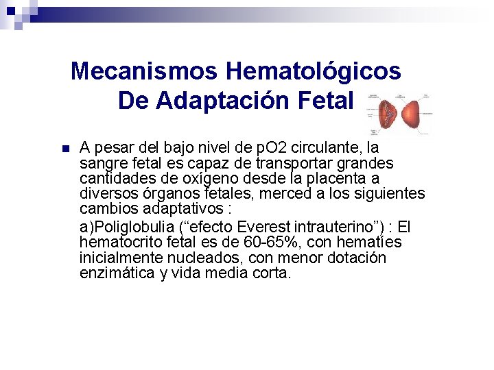 Mecanismos Hematológicos De Adaptación Fetal n A pesar del bajo nivel de p. O