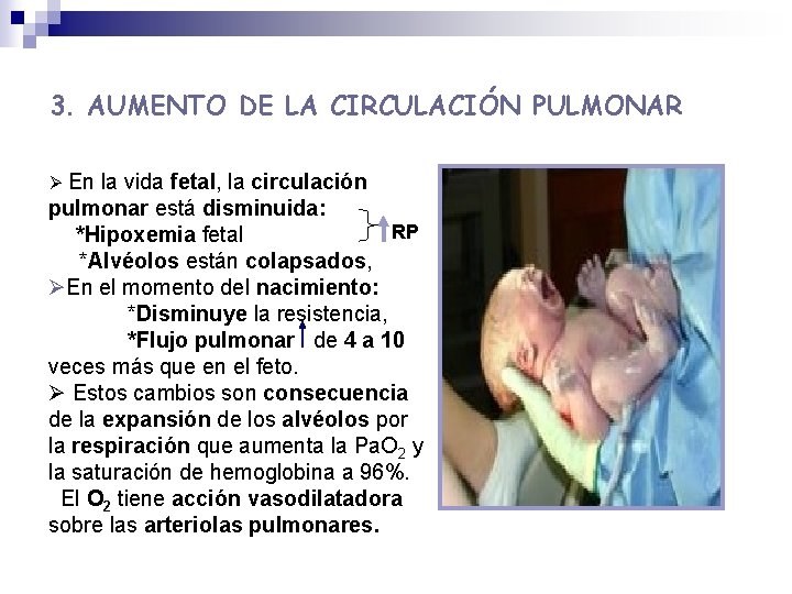 3. AUMENTO DE LA CIRCULACIÓN PULMONAR Ø En la vida fetal, la circulación pulmonar