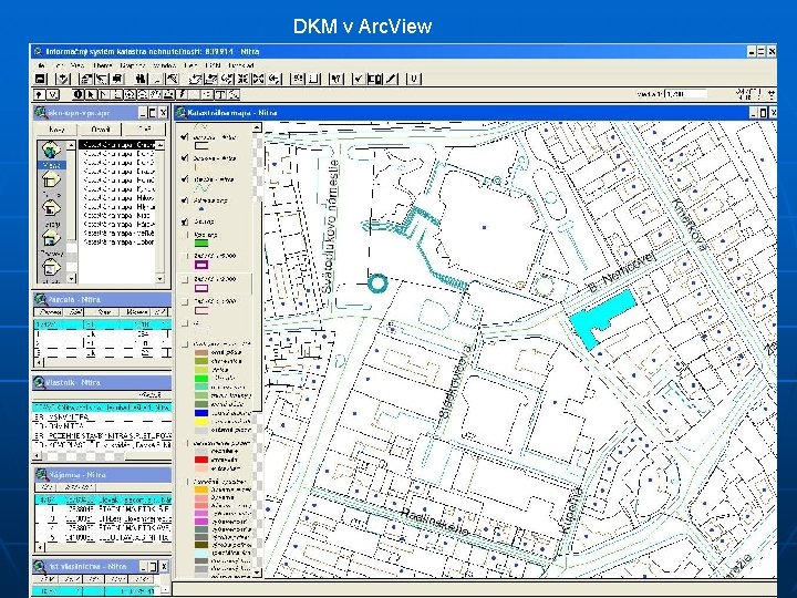 DKM v Arc. View 