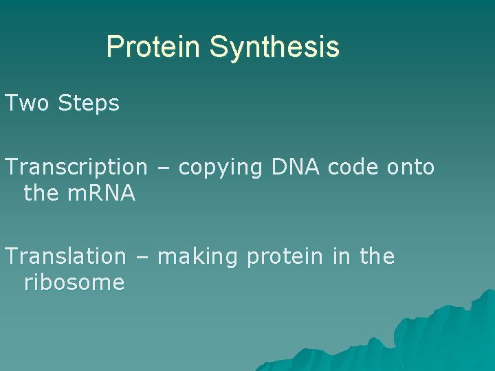 Protein Synthesis Two Steps Transcription – copying DNA code onto the m. RNA Translation