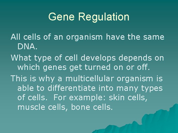 Gene Regulation All cells of an organism have the same DNA. What type of