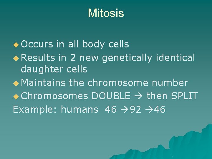 Mitosis u Occurs in all body cells u Results in 2 new genetically identical