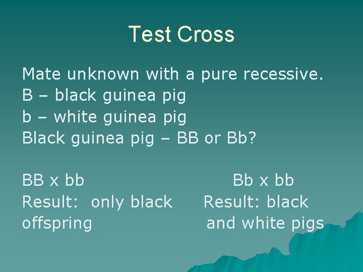 Test Cross Mate unknown with a pure recessive. B – black guinea pig b
