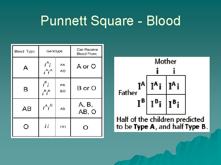 Punnett Square - Blood 