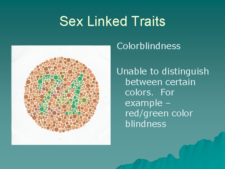 Sex Linked Traits Colorblindness Unable to distinguish between certain colors. For example – red/green