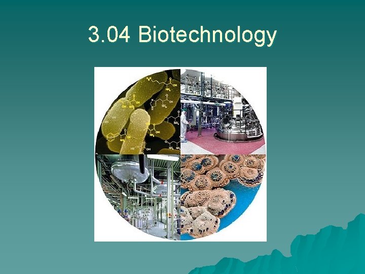 3. 04 Biotechnology 