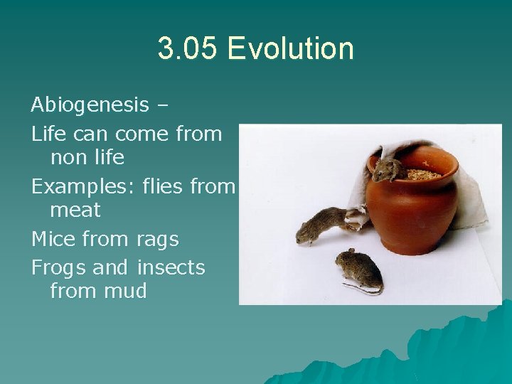 3. 05 Evolution Abiogenesis – Life can come from non life Examples: flies from
