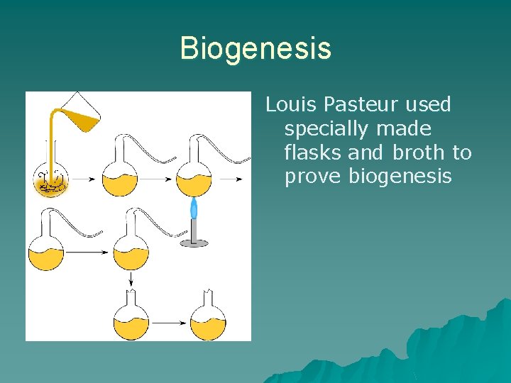 Biogenesis Louis Pasteur used specially made flasks and broth to prove biogenesis 