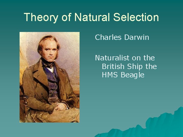 Theory of Natural Selection Charles Darwin Naturalist on the British Ship the HMS Beagle