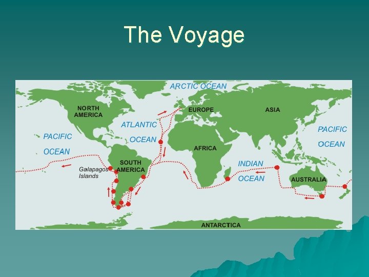 The Voyage 