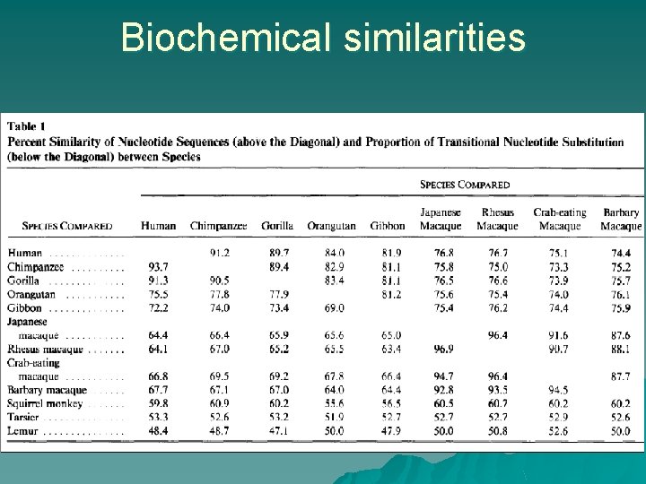 Biochemical similarities 