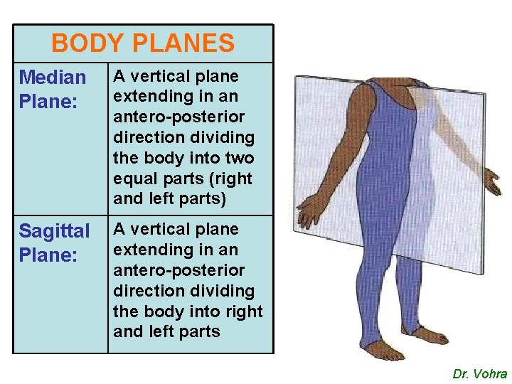 BODY PLANES Median Plane: A vertical plane extending in an antero-posterior direction dividing the