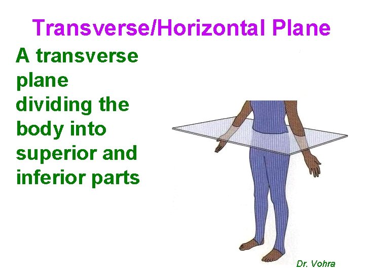 Transverse/Horizontal Plane A transverse plane dividing the body into superior and inferior parts Dr.