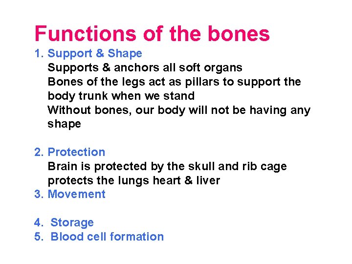 Functions of the bones 1. Support & Shape Supports & anchors all soft organs