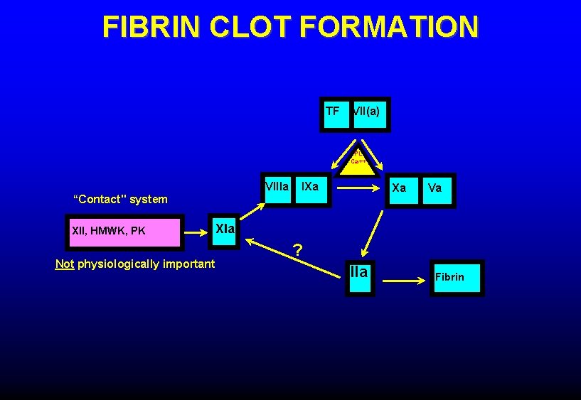 FIBRIN CLOT FORMATION TF VII(a) PL Ca++ VIIIa IXa Xa “Contact" system XII, HMWK,