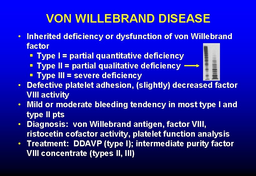 VON WILLEBRAND DISEASE • Inherited deficiency or dysfunction of von Willebrand factor § Type