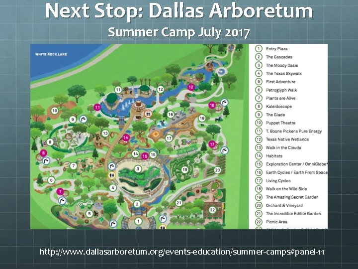 Next Stop: Dallas Arboretum Summer Camp July 2017 http: //www. dallasarboretum. org/events-education/summer-camps#panel-11 