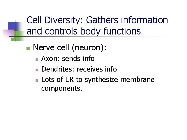 Cell Diversity: Gathers information and controls body functions n Nerve cell (neuron): n n