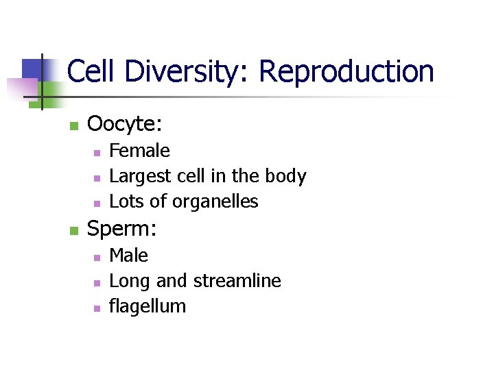 Cell Diversity: Reproduction n Oocyte: n n Female Largest cell in the body Lots