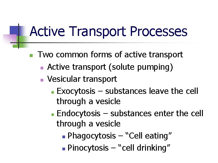 Active Transport Processes n Two common forms of active transport n Active transport (solute